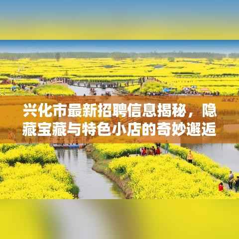 兴化市最新招聘信息揭秘,隐藏宝藏与特色小店的奇妙邂逅日回顾