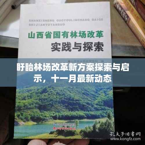 盱眙林场改革新方案探索与启示,十一月最新动态