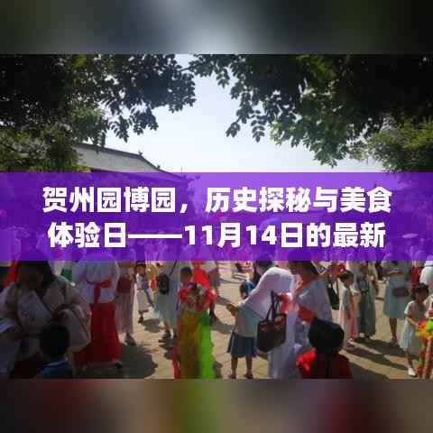 贺州园博园,历史探秘与美食体验日——11月14日的最新消息与惊喜之旅