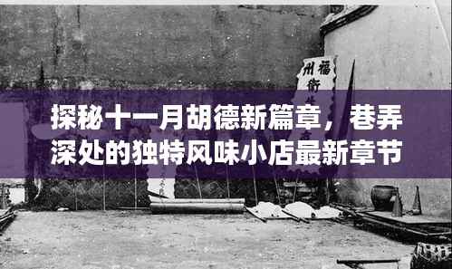 探秘十一月胡德新篇章,巷弄深处的独特风味小店最新章节介绍