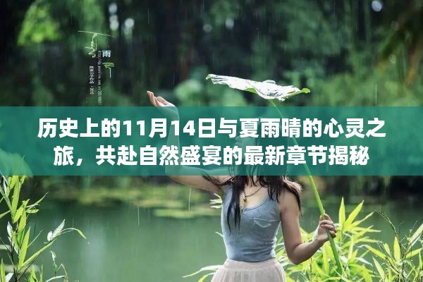 历史上的11月14日与夏雨晴的心灵之旅,共赴自然盛宴的最新章节揭秘
