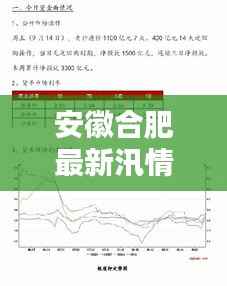 安徽合肥最新汛情分析报告(XXXX年11月14日汛情更新)