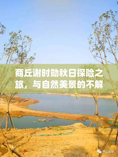 博古通今 第5页