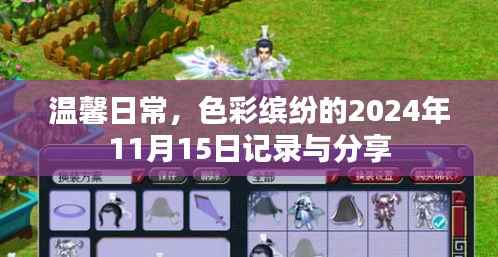 温馨日常,色彩缤纷的2024年11月15日记录与分享
