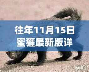 往年11月15日蜜獾最新版详解与全面评测介绍