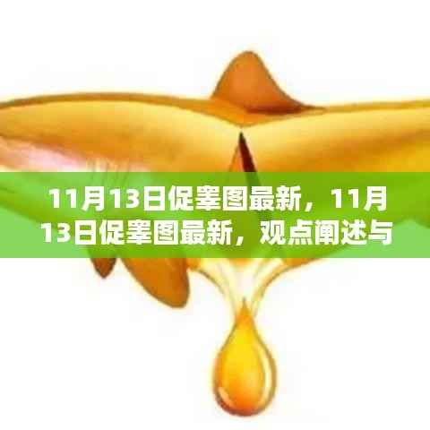 11月13日促睾图最新动态,观点阐述与深度解析