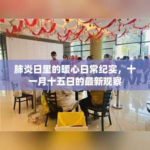 肺炎日里的暖心日常纪实,十一月十五日的最新观察