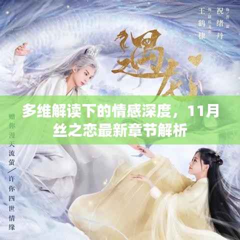 多维解读下的情感深度,11月丝之恋最新章节解析