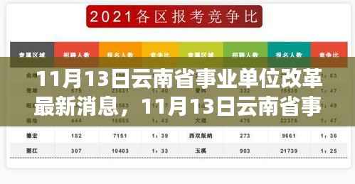 云南省事业单位改革最新动态,深度解读与观点阐述(11月13日更新)