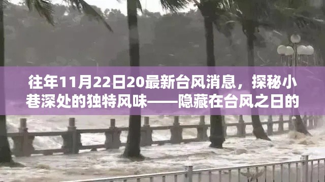 台风之日的惊喜,探秘小巷风味与最新动态