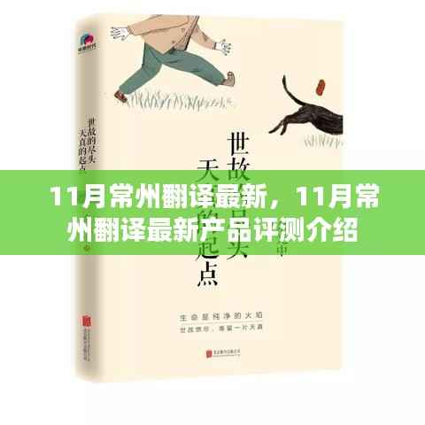 11月常州翻译最新,11月常州翻译最新产品评测介绍