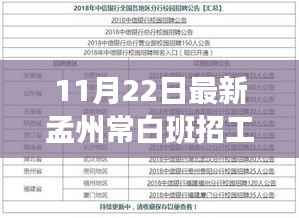 孟州常白班招工信息全解析,应聘指南与初学者进阶攻略
