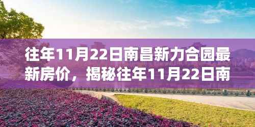 揭秘往年11月22日南昌新力合园最新房价及楼市动态解读