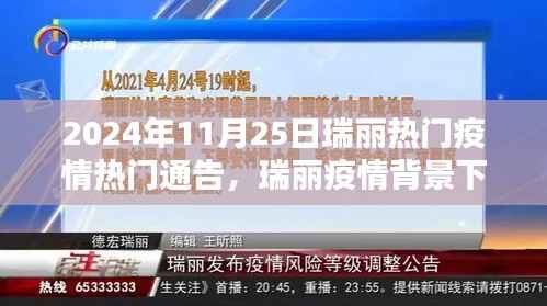 瑞丽疫情背景下的社会关注焦点,分析2024年11月25日瑞丽热门疫情通告