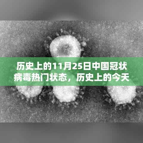 揭秘中国冠状病毒在历史上的热门状态,回顾11月25日的重要时刻