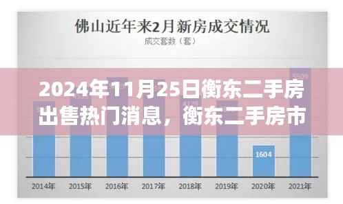 衡东二手房市场深度解析,热门房源特性与用户体验评测