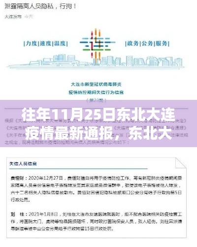 往年11月25日东北大连疫情最新通报及获取指南,快速了解疫情信息的方法