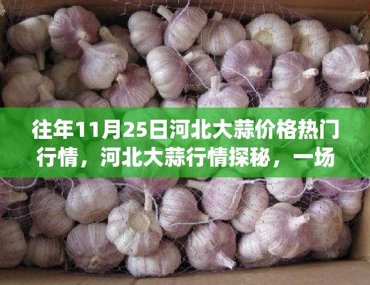河北大蒜行情揭秘,绿色之旅探寻内心平静与热门大蒜价格动态