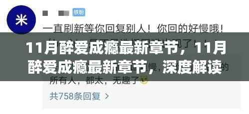 深度解读与观点探讨,最新章节11月醉爱成瘾赏析