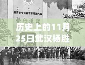 武汉杨胜全热门案情深度解析,多方观点碰撞与个人立场阐述,历史上的11月25日回顾