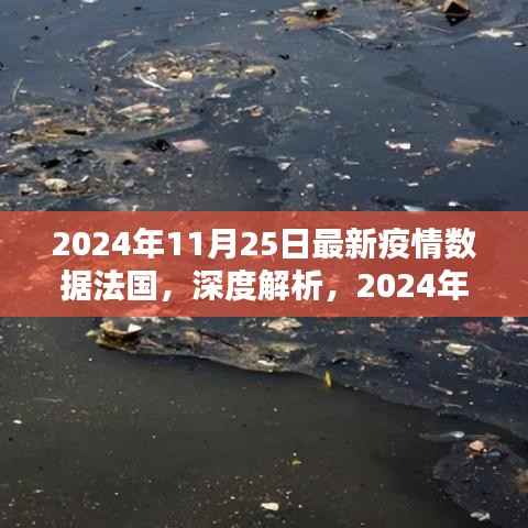 2024年11月25日法国最新疫情数据深度解析与综述