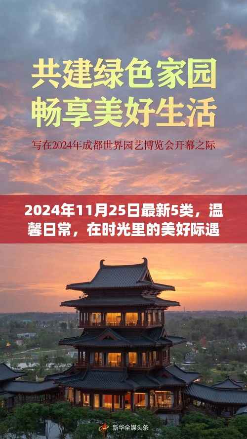 温馨日常的美好际遇,五个小故事回顾时光之美,2024年11月25日最新精选五篇故事分享
