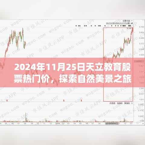 2024年11月25日天立教育股票热门价,探索自然美景之旅,天立教育股票与心灵的宁静热谈——2024年11月25日的奇妙旅程