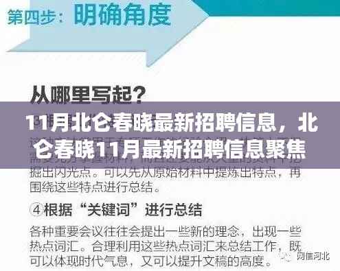 北仑春晓11月最新招聘信息大解析,职业发展三大要点解读