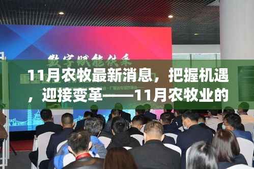 把握农牧变革机遇,11月农牧业新篇章,自信成就未来