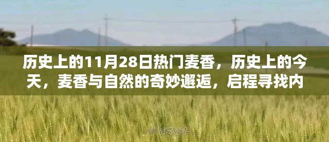 历史上的麦香奇妙邂逅,启程寻找内心的宁静之路(或,历史上的今天,麦香与自然的相遇)