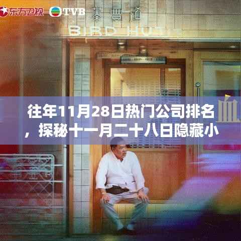 探秘十一月二十八日特色小店,独特环境造就非凡魅力公司排行榜常客上榜企业盘点