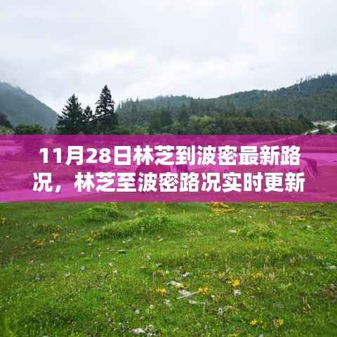 11月28日林芝至波密最新路况实时更新,一路畅行无忧