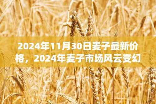 2024年麦子市场风云变幻,最新价格走势与时代影响分析