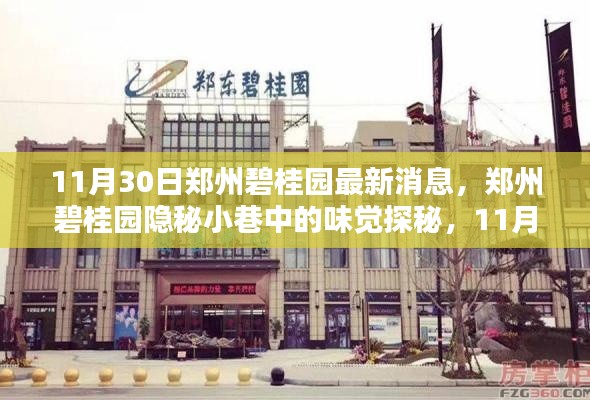 郑州碧桂园隐秘小巷的美食探秘,最新消息与独家发现(11月30日)
