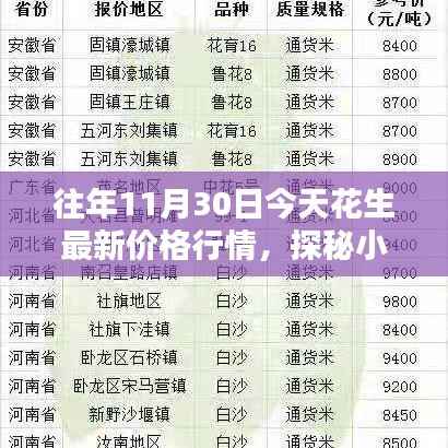 历年11月30日花生行情揭秘,小巷深处的特色小店与最新价格探秘