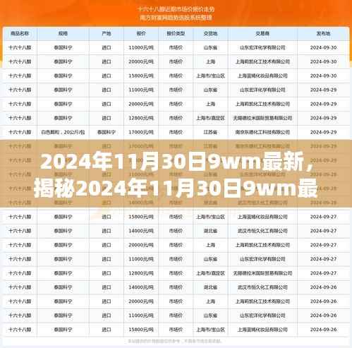 揭秘,2024年11月30日最新动态揭秘,小红书引领未来趋势探索