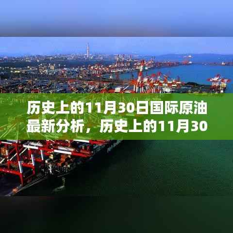 历史上的11月30日国际原油深度解析与操作指南,最新分析与展望