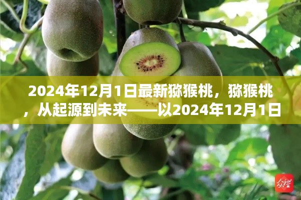 猕猴桃的起源与未来展望，以猕猴桃产业在2024年12月1日的变革为视角