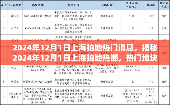 揭秘上海拍地热潮,热门地块动态与未来展望(2024年12月1日更新)