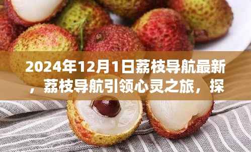 荔枝导航引领心灵之旅,探索自然美景,开启内心平静之旅