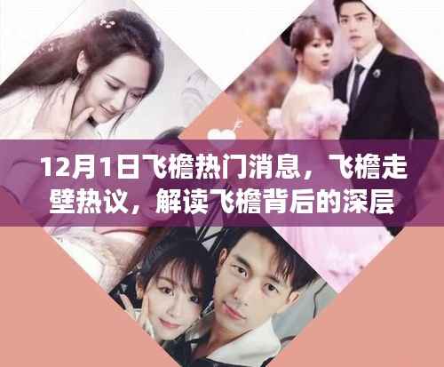 解读飞檐背后的深层意义与争议焦点,热门话题热议,飞檐走壁新动态 12月独家报道