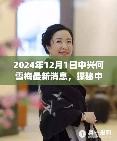 中兴何雪梅探秘与小巷美食天堂揭秘,最新消息背后的故事,2024年12月1日更新