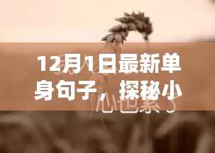 探秘浪漫小巷与特色小店,最新单身句子与奇妙邂逅的浪漫隅隅