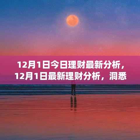 12月1日理财市场分析,洞悉趋势,把握投资机遇