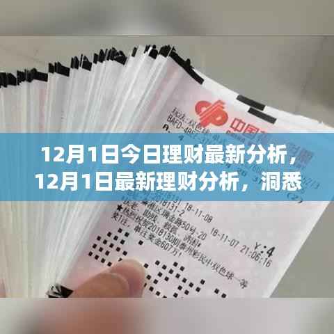 12月1日理财市场分析,洞悉趋势,把握投资机遇