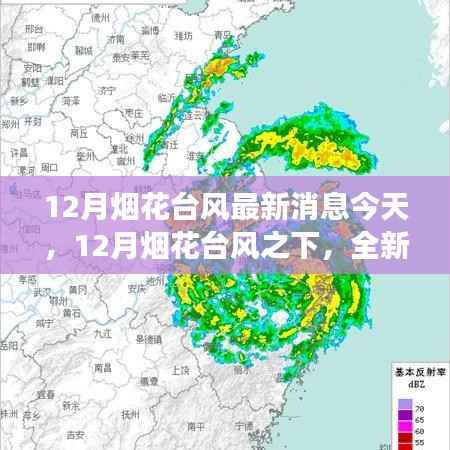 智能烟花预警系统应对12月烟花台风，科技与生活融合之惊艳亮相