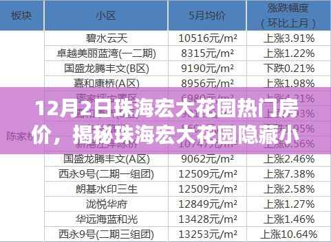 揭秘珠海宏大花园特色小店与热门房价的冬季魅力