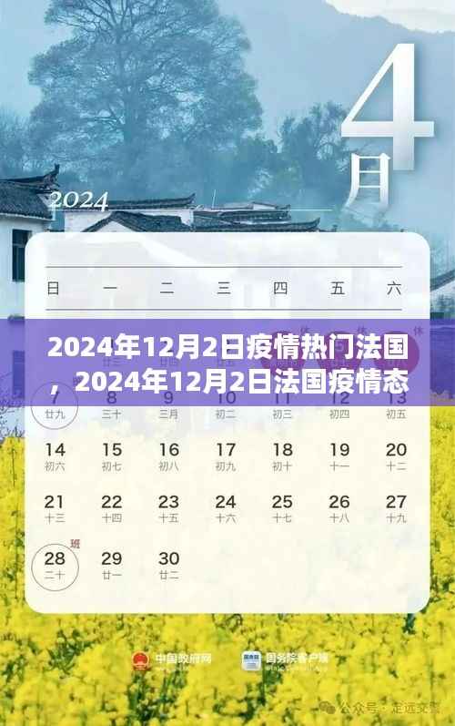 法国疫情热议话题探讨,2024年12月2日的态势与热议话题分析