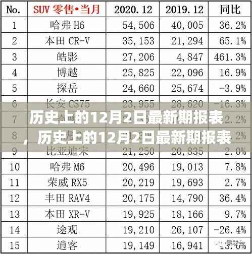 历史上的12月2日最新期报表编制指南,初学者与进阶用户必备
