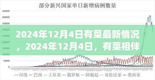 心灵之旅启程,有菜相伴的2024年12月4日最新动态